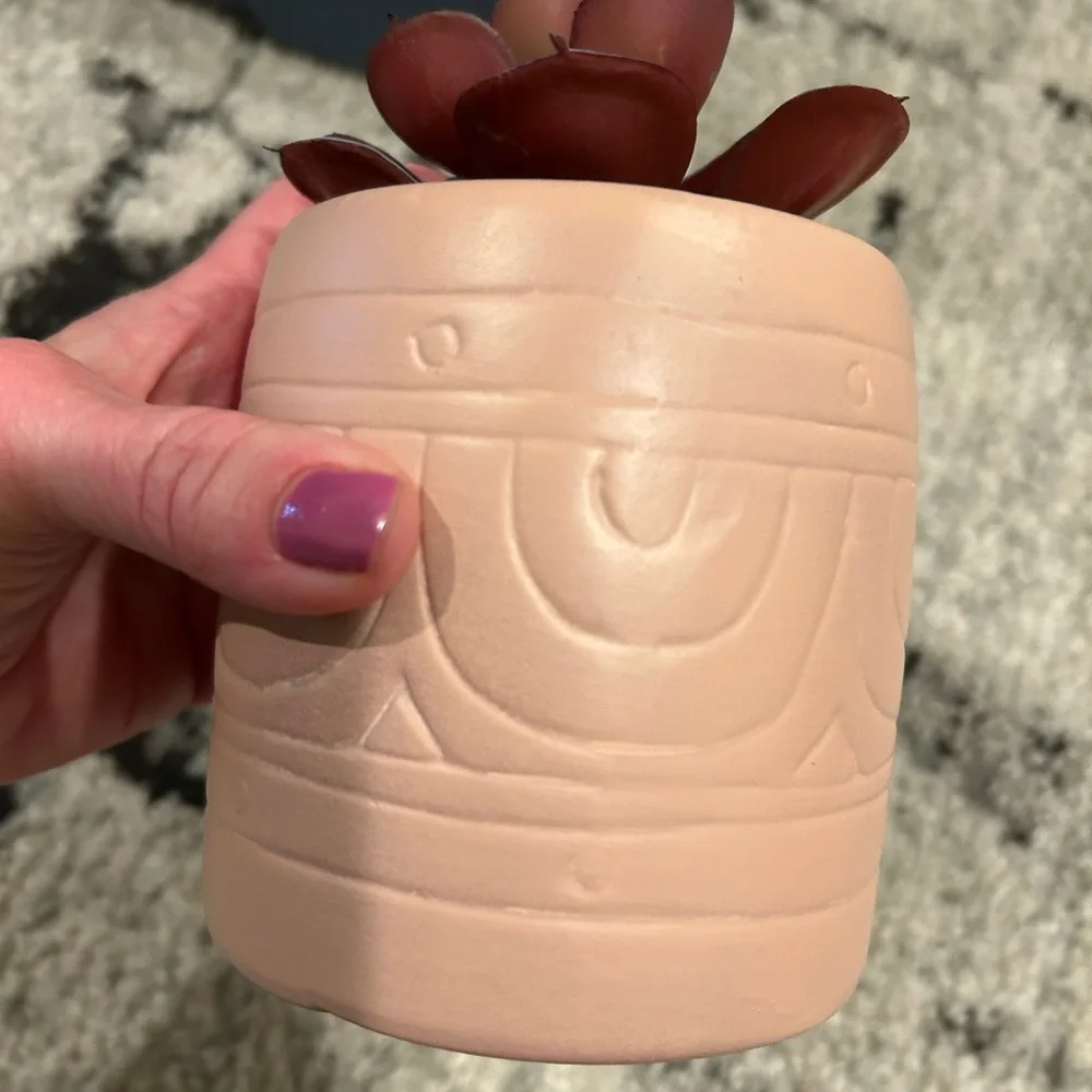 Ceramic vase with succulent plant spike